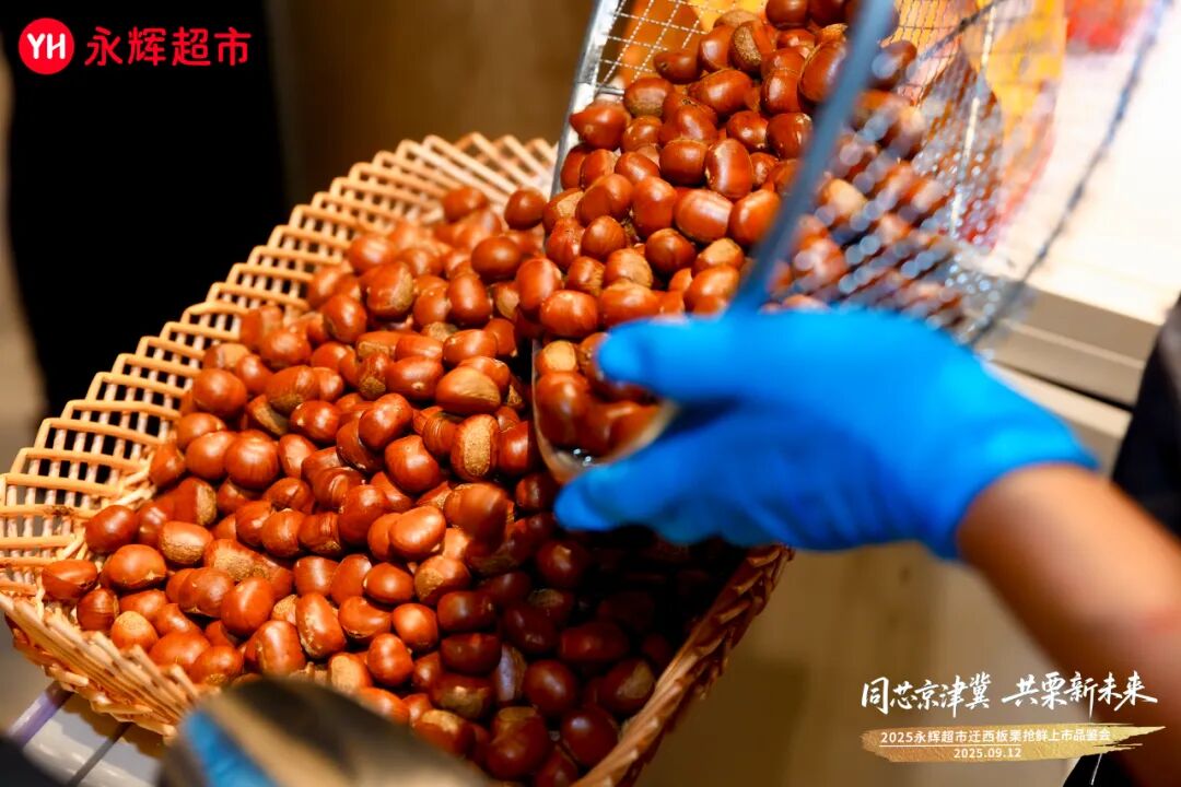 pg麻将胡了(官方)最新IOS/安卓版/手机版APP下载