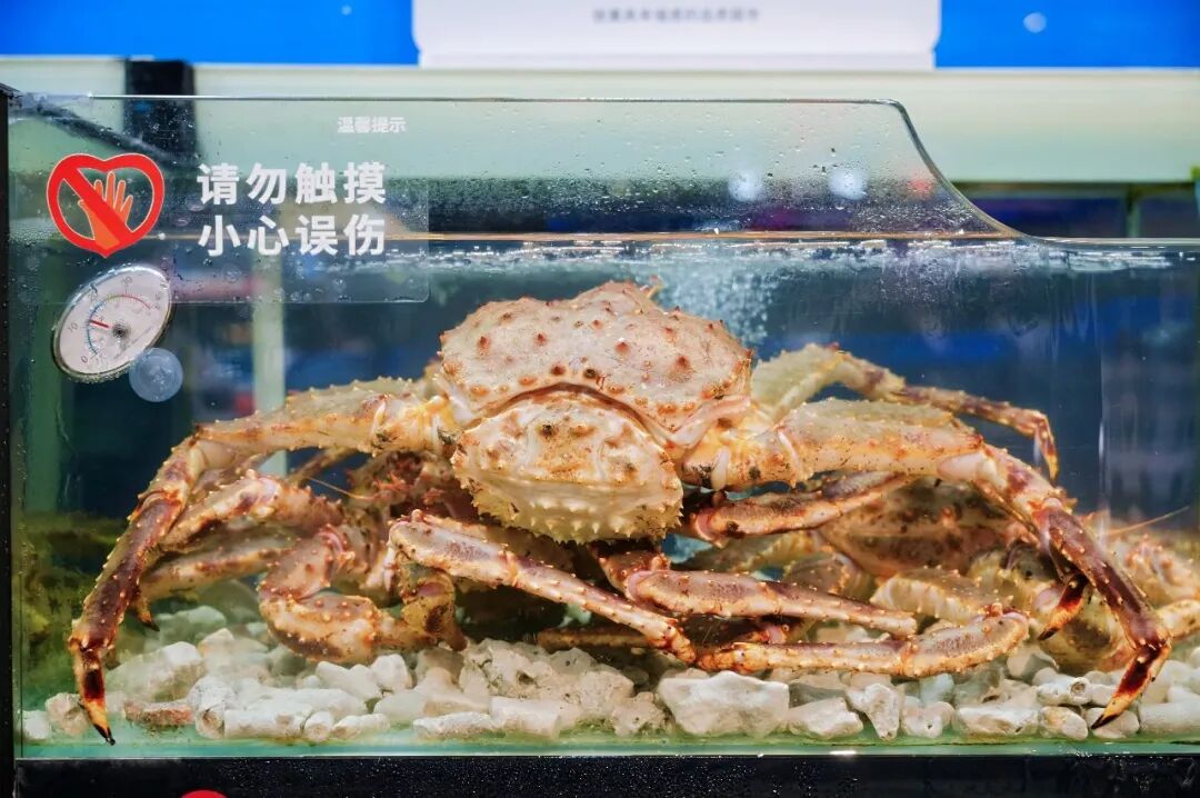 pg麻将胡了(官方)最新IOS/安卓版/手机版APP下载