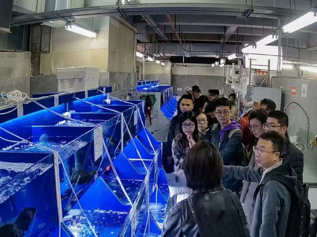 pg麻将胡了(官方)最新IOS/安卓版/手机版APP下载