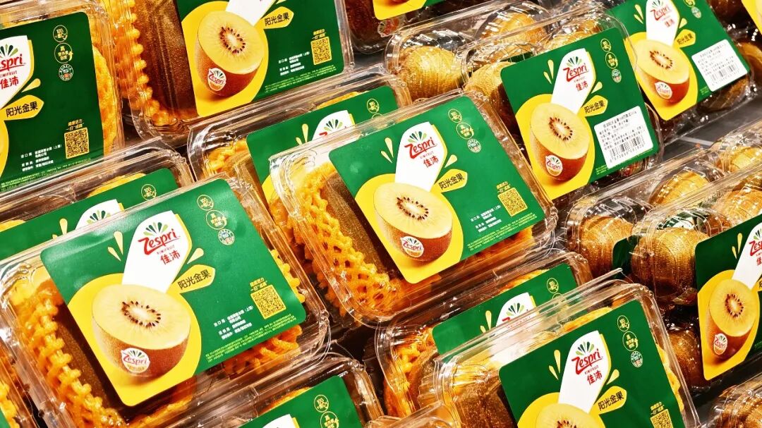 pg麻将胡了(官方)最新IOS/安卓版/手机版APP下载