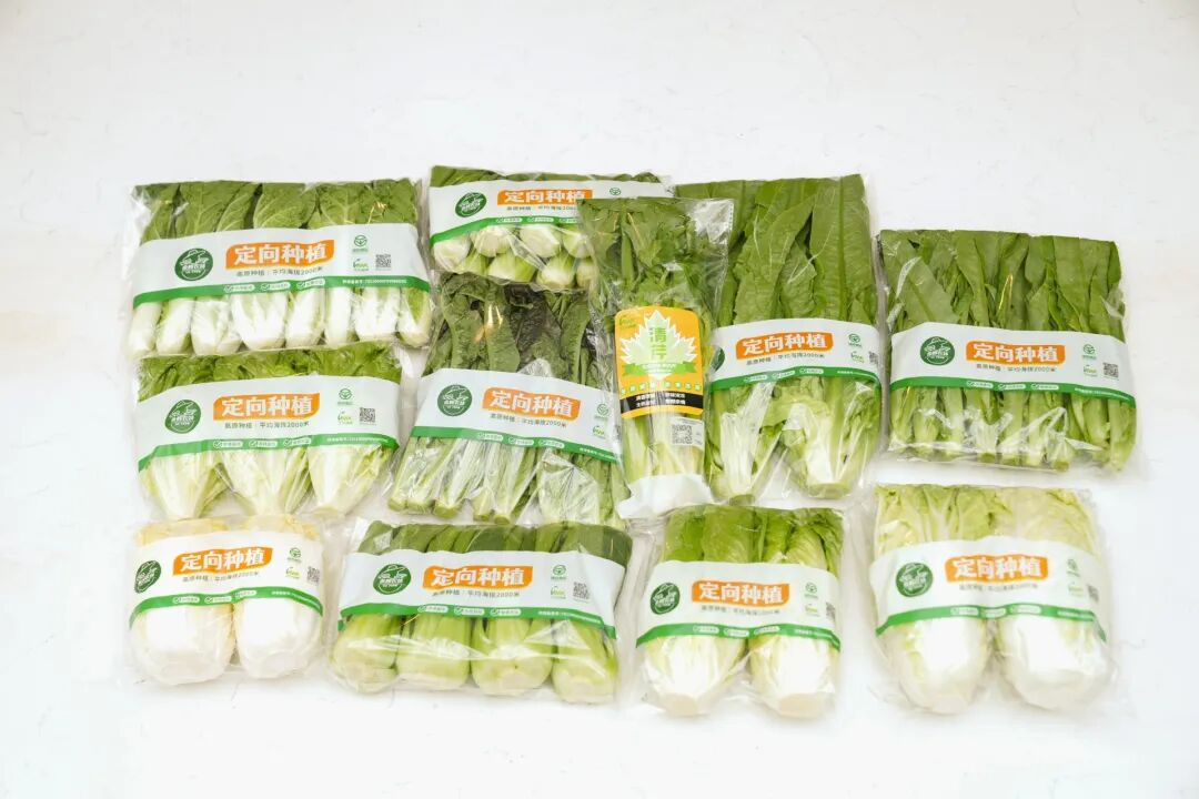 pg麻将胡了(官方)最新IOS/安卓版/手机版APP下载