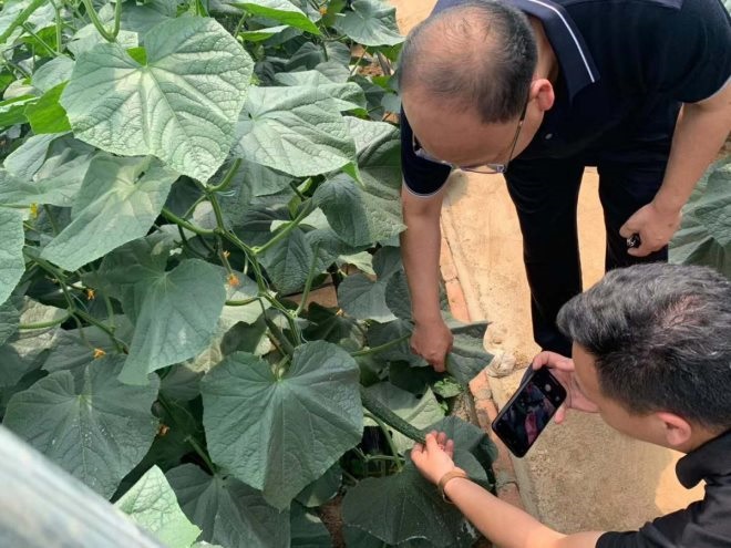pg麻将胡了(官方)最新IOS/安卓版/手机版APP下载