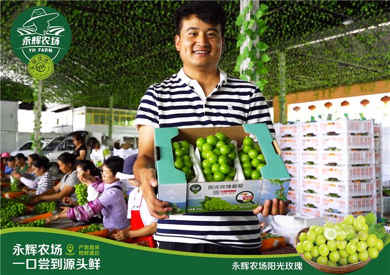 pg麻将胡了(官方)最新IOS/安卓版/手机版APP下载