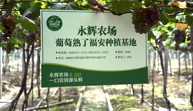 pg麻将胡了(官方)最新IOS/安卓版/手机版APP下载