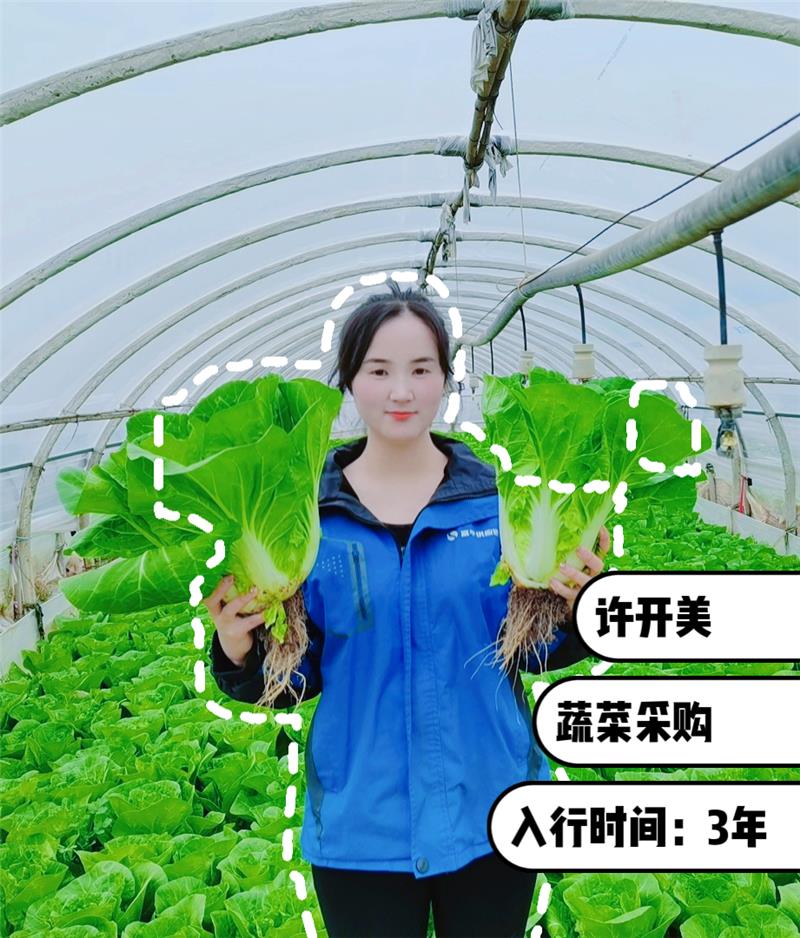 pg麻将胡了(官方)最新IOS/安卓版/手机版APP下载