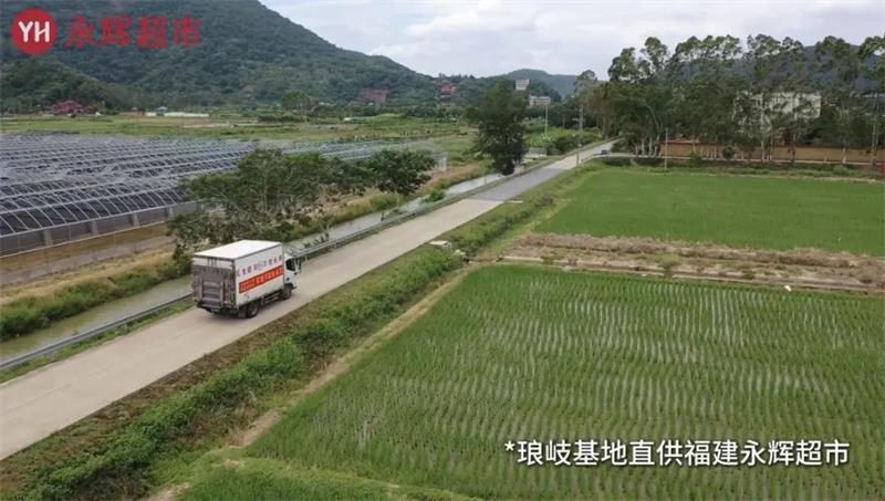 pg麻将胡了(官方)最新IOS/安卓版/手机版APP下载