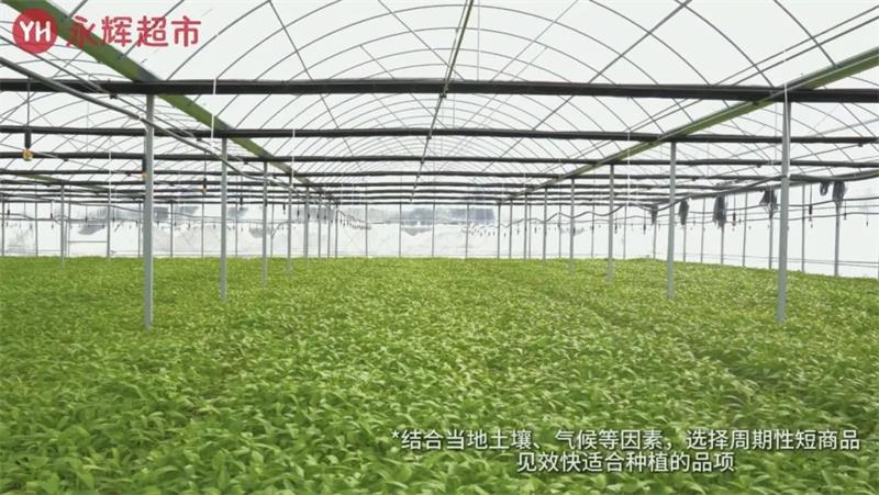pg麻将胡了(官方)最新IOS/安卓版/手机版APP下载