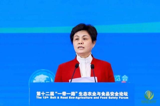 pg麻将胡了(官方)最新IOS/安卓版/手机版APP下载