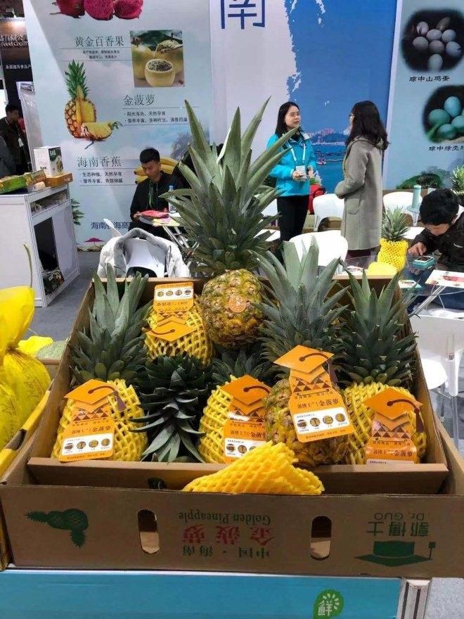 pg麻将胡了(官方)最新IOS/安卓版/手机版APP下载