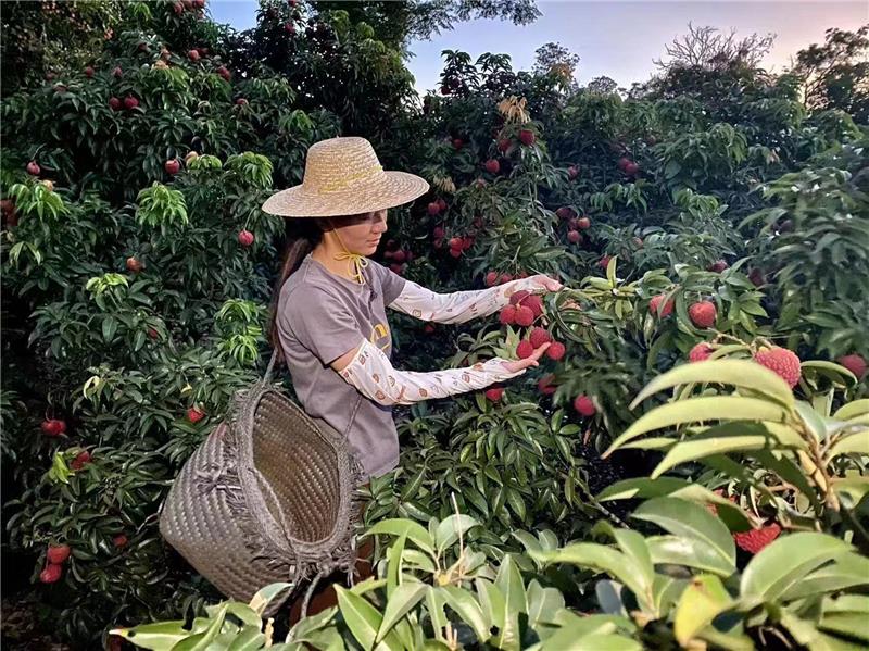 pg麻将胡了(官方)最新IOS/安卓版/手机版APP下载